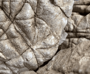 Roca Piel de Elefante