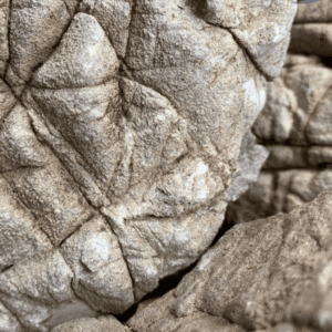 Roca Piel de Elefante