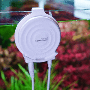 Doctor Mate con Bluetooth