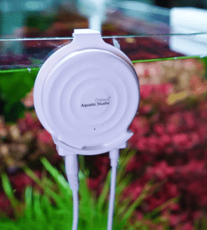 Doctor Mate con Bluetooth