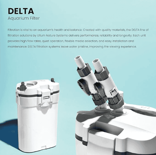 Delta view 5