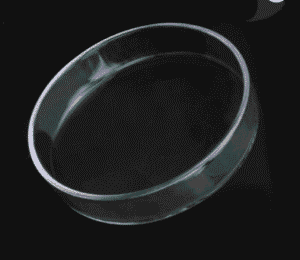 Plato de cristal para alimentación