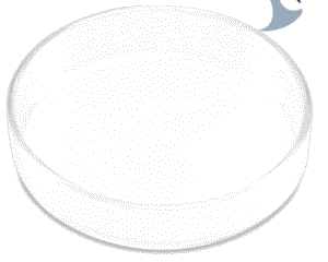 Plato de cristal para alimentación