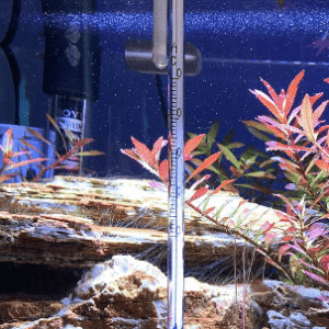 Termómetro Colgante de Cristal