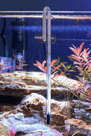 Termómetro Colgante de Cristal