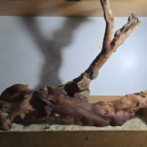 Troncos Sauce de Rio