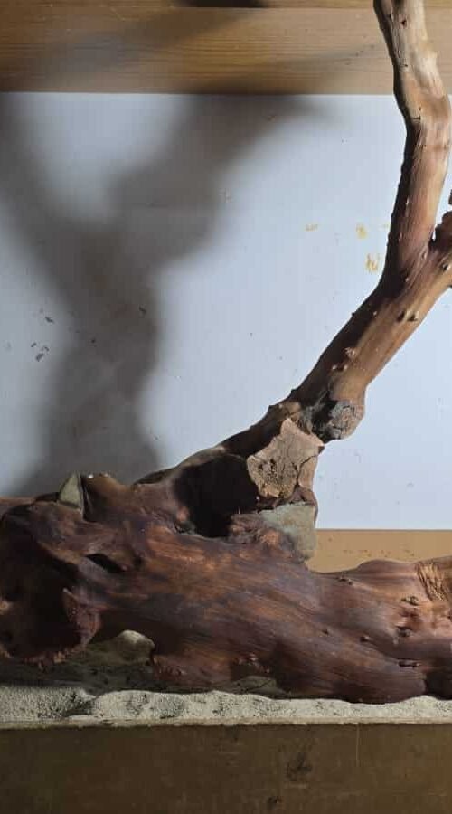 Troncos Sauce de Rio