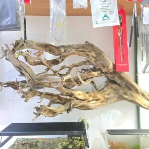 Troncos Sauce de Rio