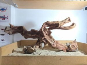 Troncos Sauce de Rio