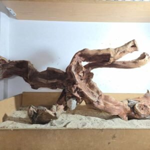 Troncos Sauce de Rio